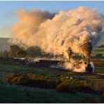 Malmesbury Mornings V