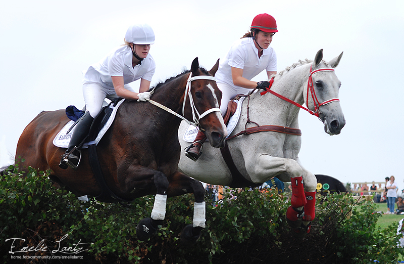 Malmö City Horse Show 2010