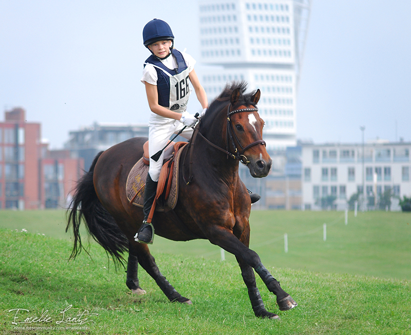 Malmö City Horse Show 2010