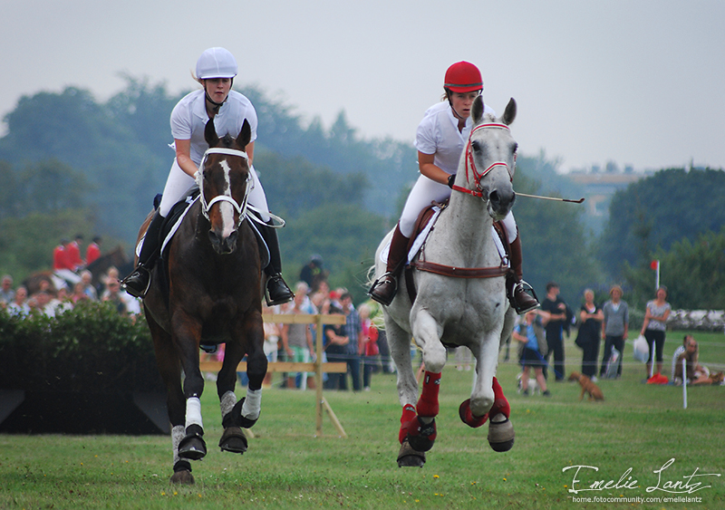 Malmö City Horse Show 2010