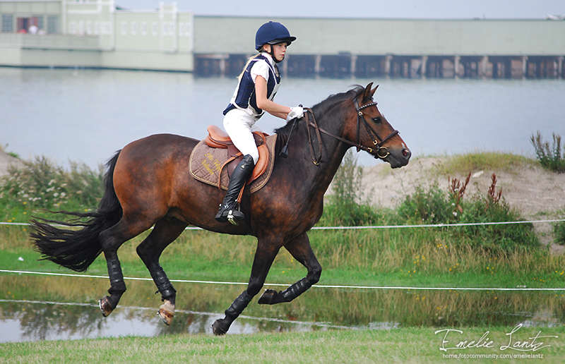 Malmö City Horse Show 2010