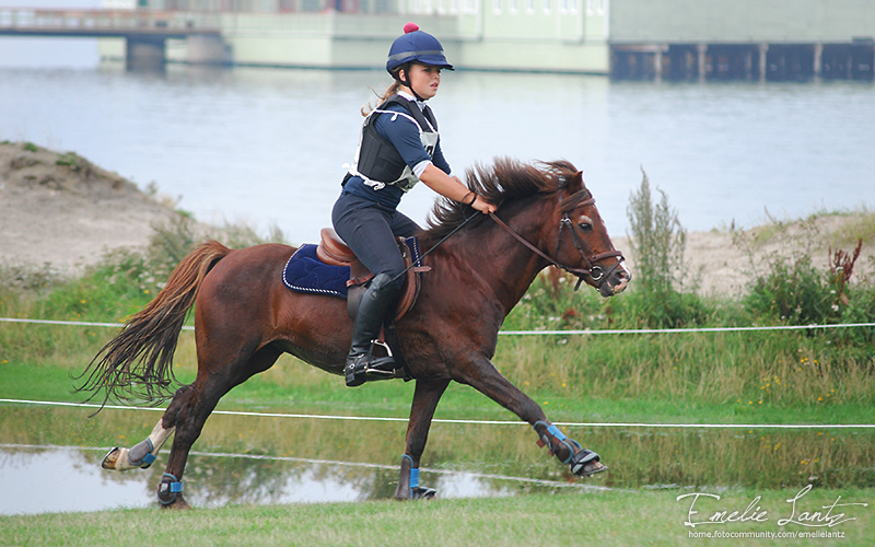 Malmö City Horse Show 2010