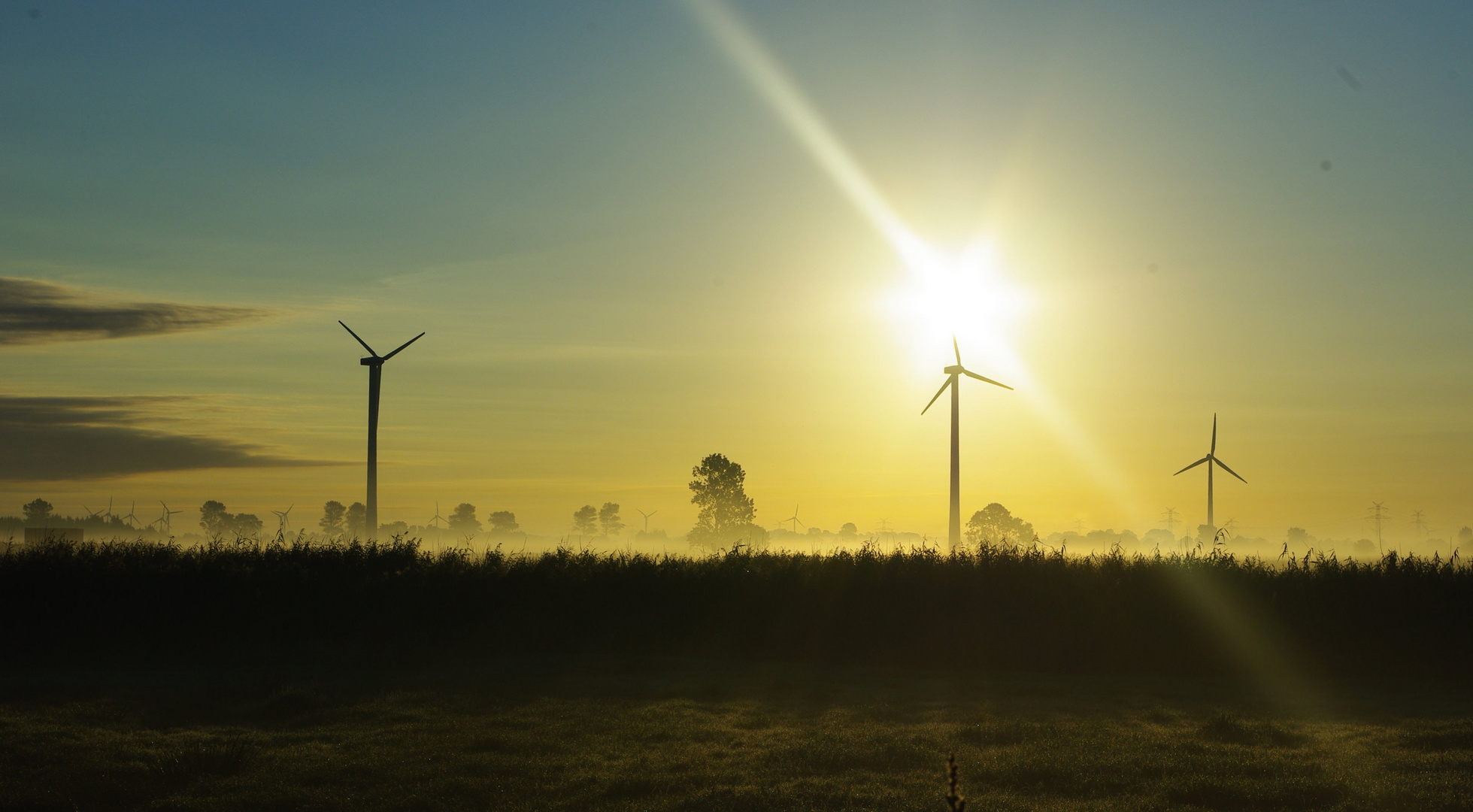 Maloche im Windpark