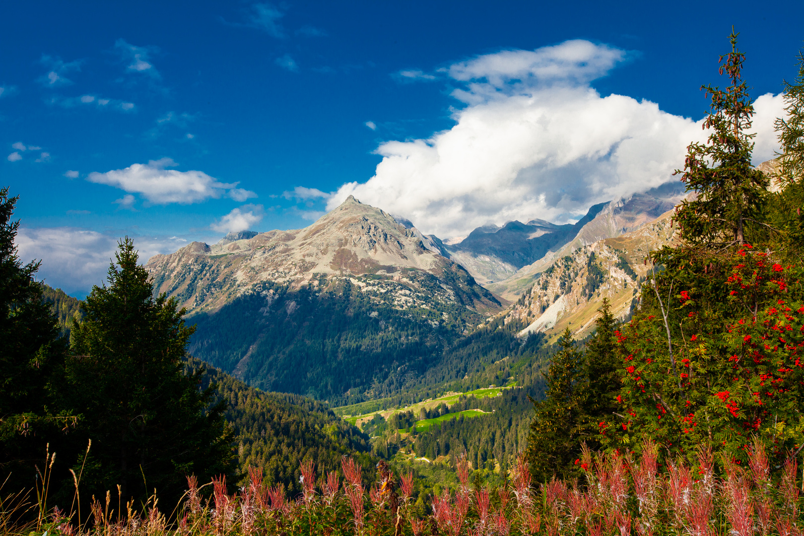 Maloja Foto & Bild landschaft, berge, landscape Bilder auf