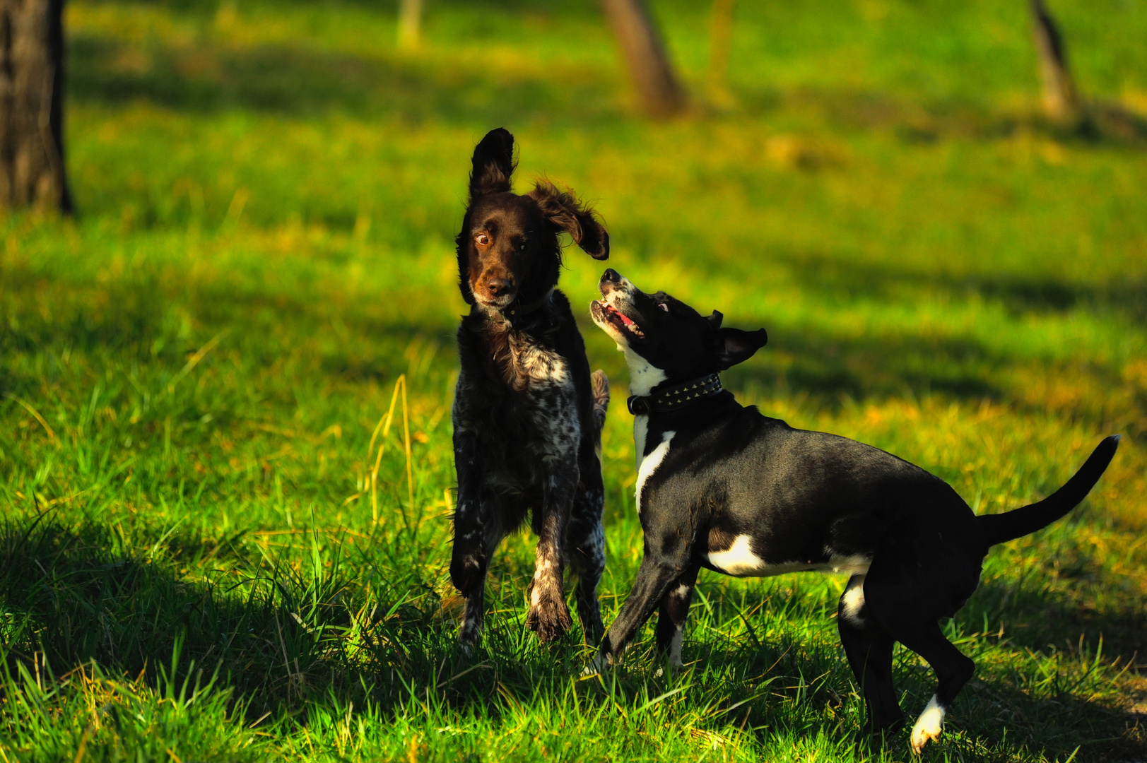 Malou und Alba