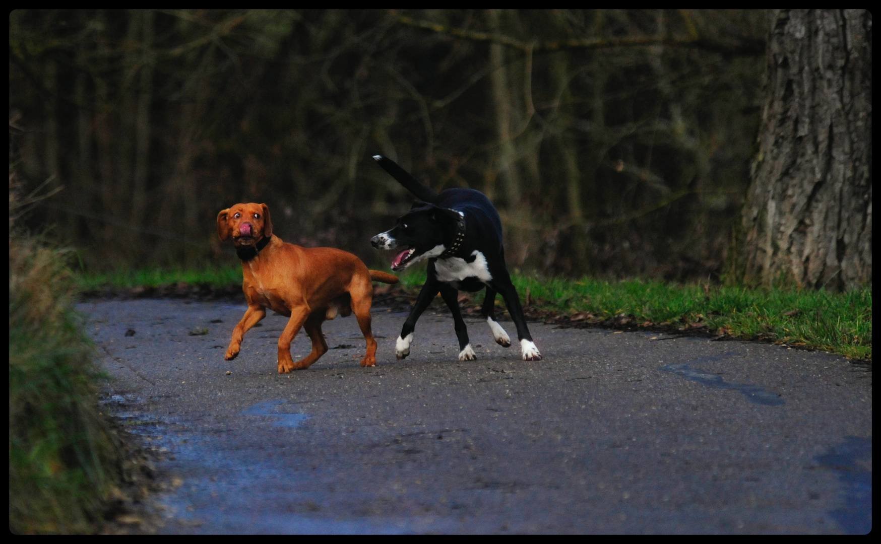 Malou und Balou