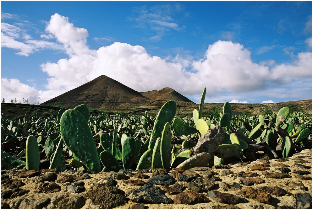 Malpaìs de la Corona