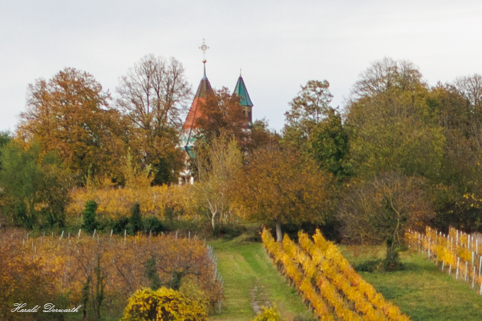 Malsch-Letzenbergblick