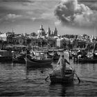 maltese fisherman*