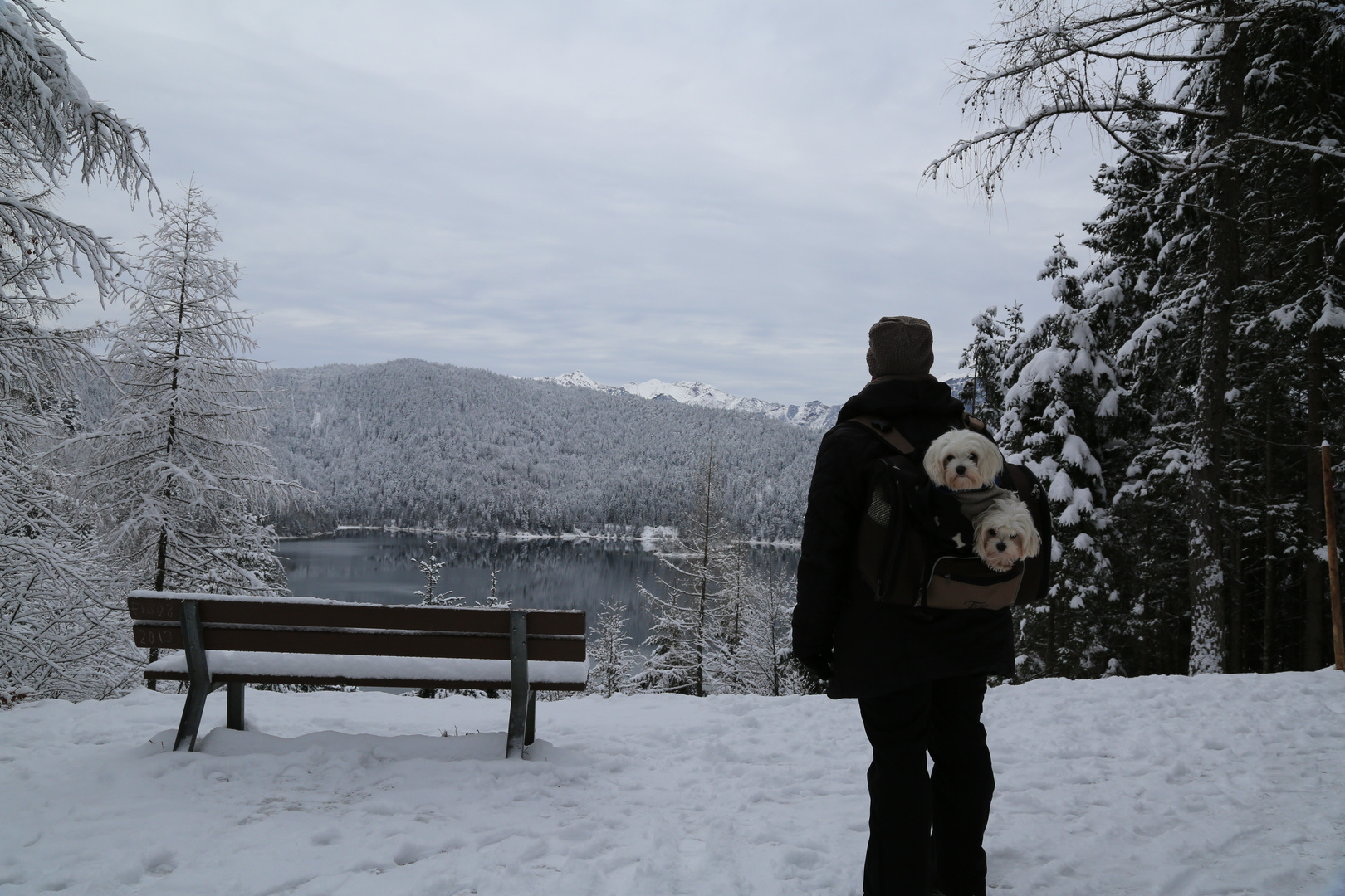 Malteser - Transport im Winterurlaub