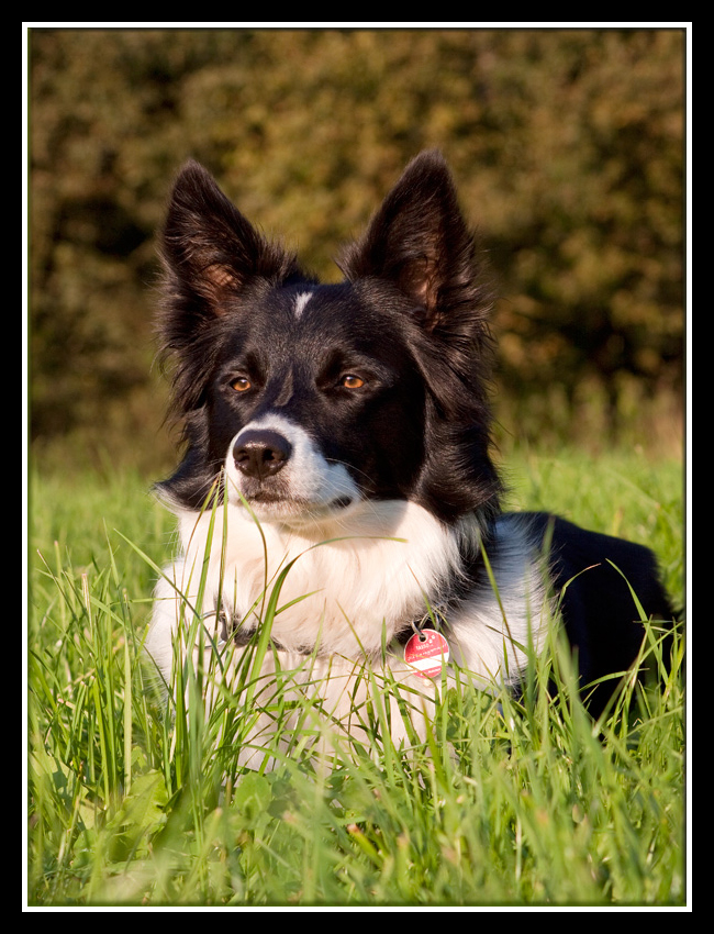 Malu in der Sonne