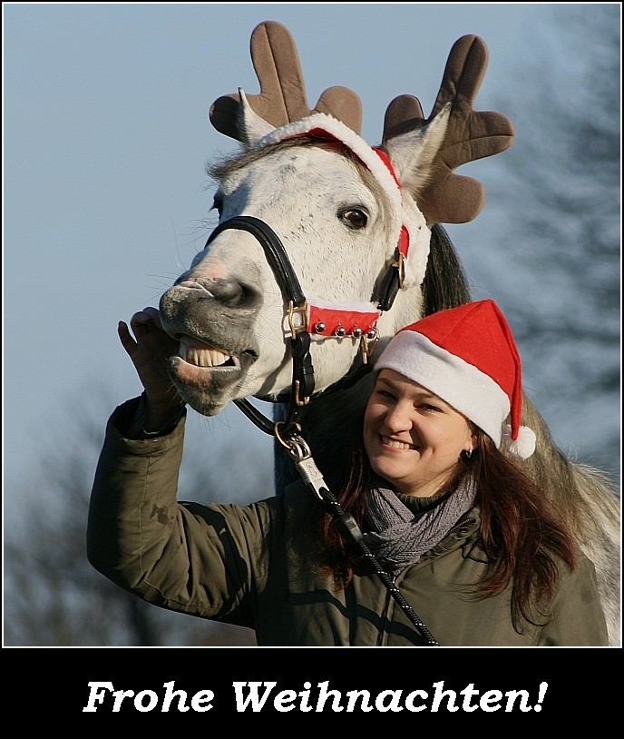 Maluso und Börgi wünschen euch frohe Weihnachten!