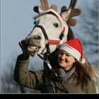 Maluso und Börgi wünschen euch frohe Weihnachten!