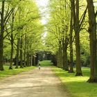 .....malwieder joggen in der Karlsaue