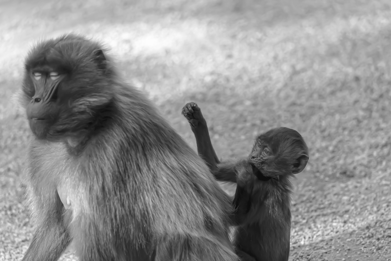 Mama auf zum Wochenende :-)