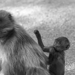 Mama auf zum Wochenende :-)