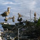 Mama beim Schwimmunterrich.