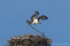 Mama beim Stabhochsprung