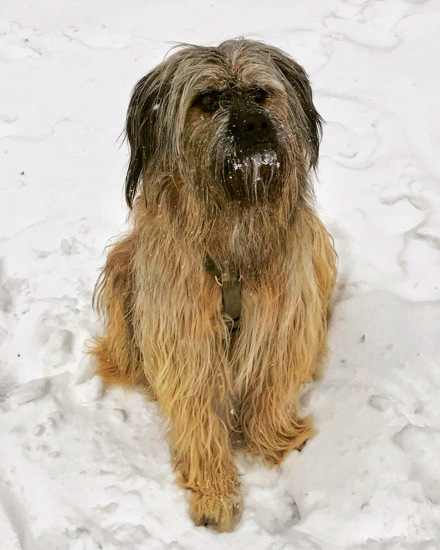 Mama, bin ich jetzt ein Eisbär?!