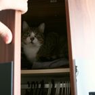 Mama, da ist ein Monster in meinem Schrank