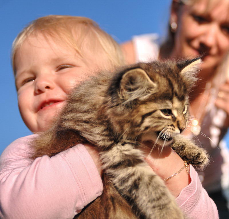 Mama, die Katze gebe ich dir nicht mehr ....