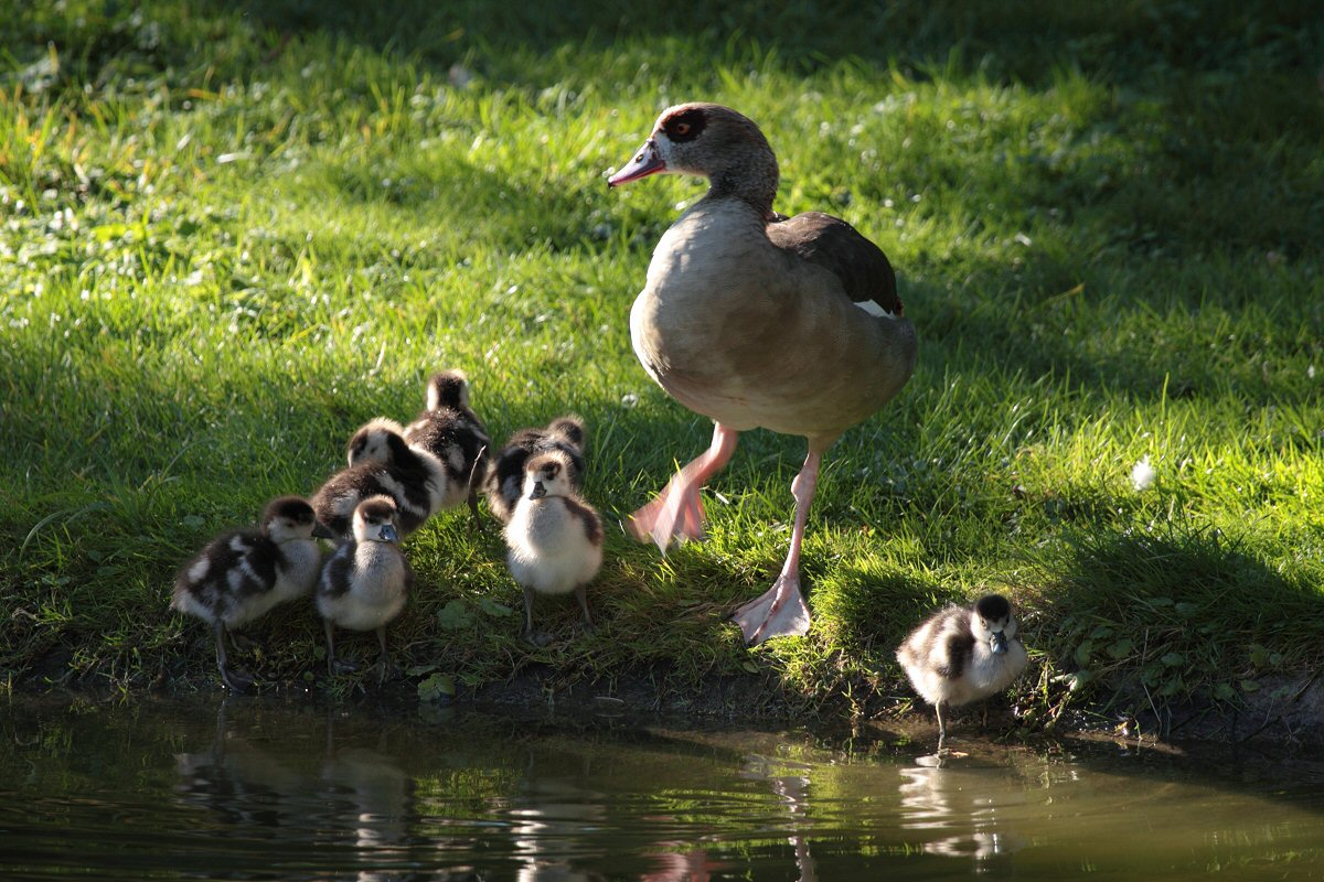 "Mama, dürfen wir ins Wasser???"