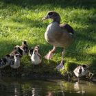 "Mama, dürfen wir ins Wasser???"