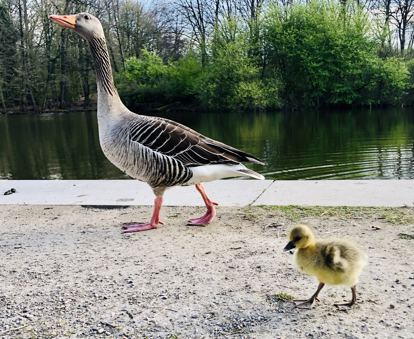 Mama eins von sechsen