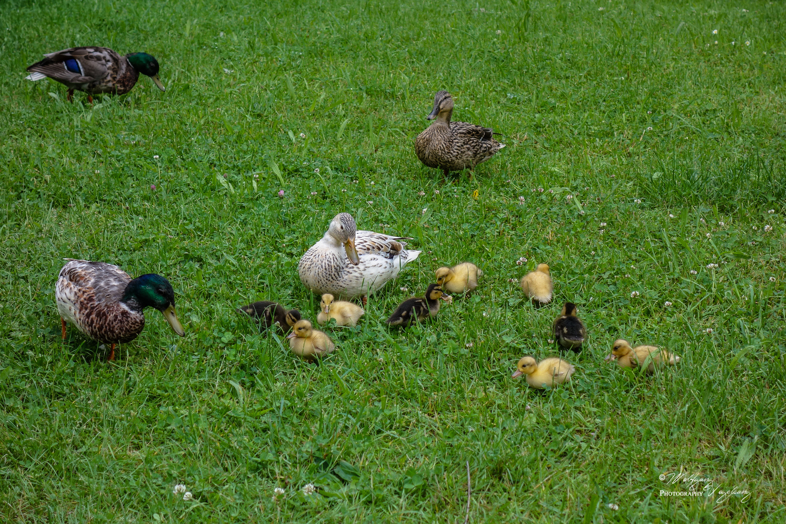 Mama hat alles im Blick