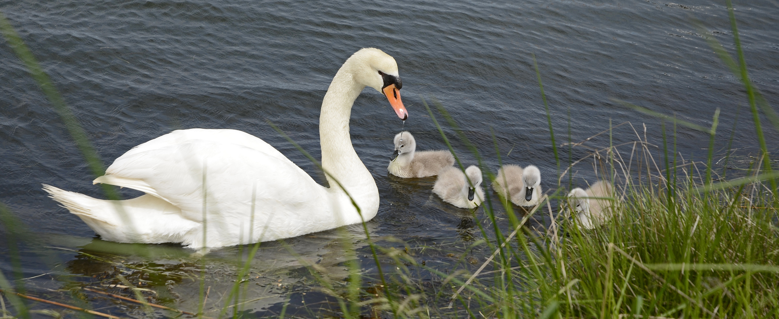 Mama hat auf alles ein Auge !