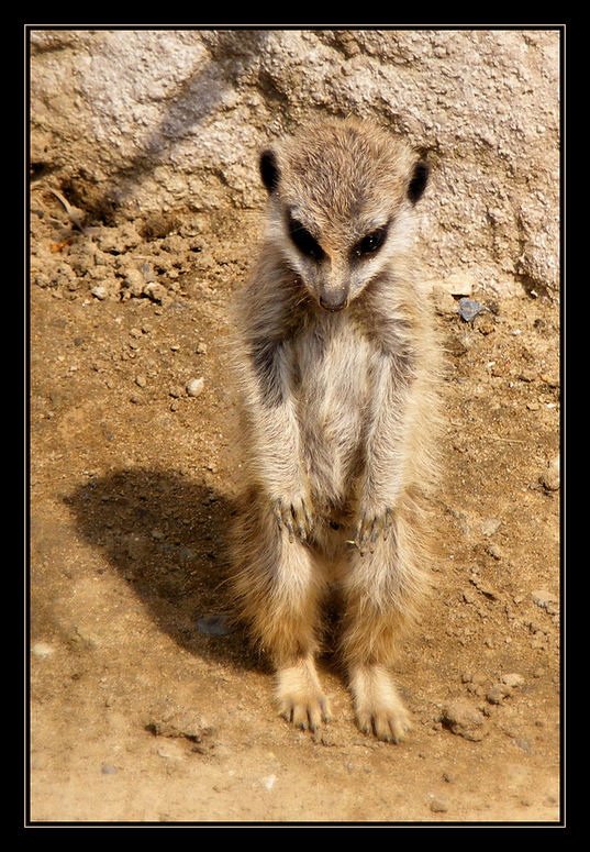 Mama hat schon wieder....