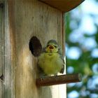 Mama, ich bin draußen!