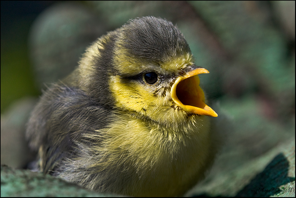 ~Mama ich bin hier~