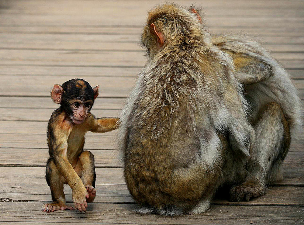 Mama, ich bin mal weg!