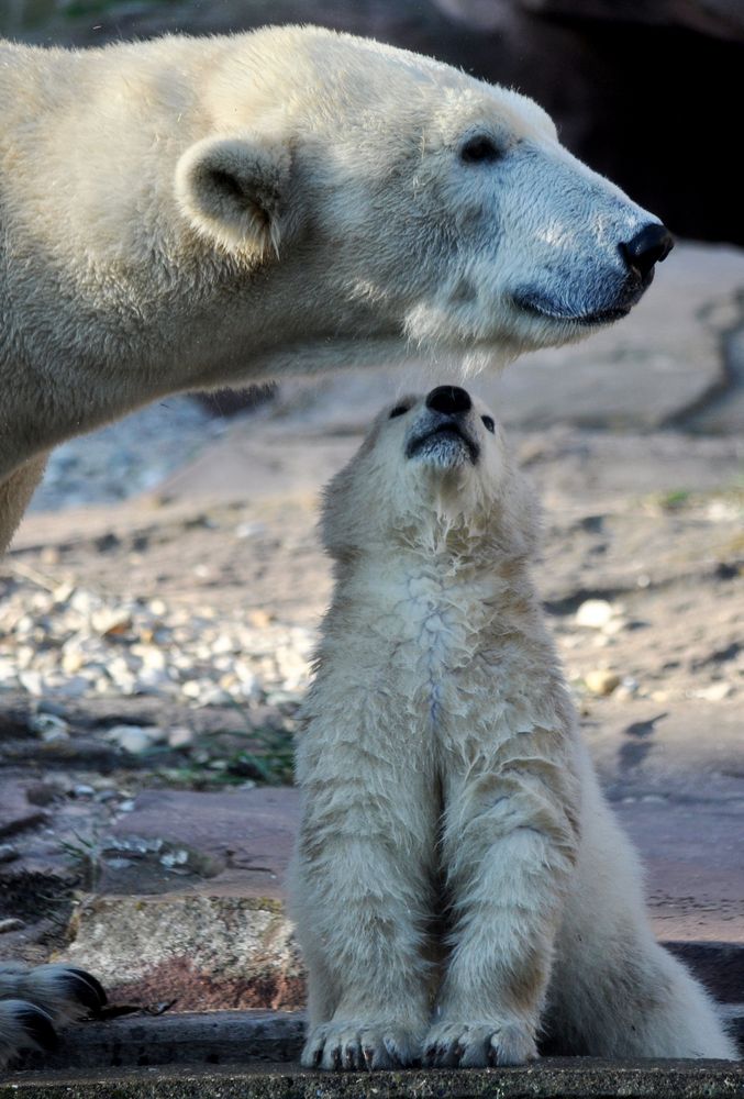 Mama, ich hab dich soooo lieb!