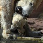 "Mama ..... ich hab Dich zum Fressen gern"