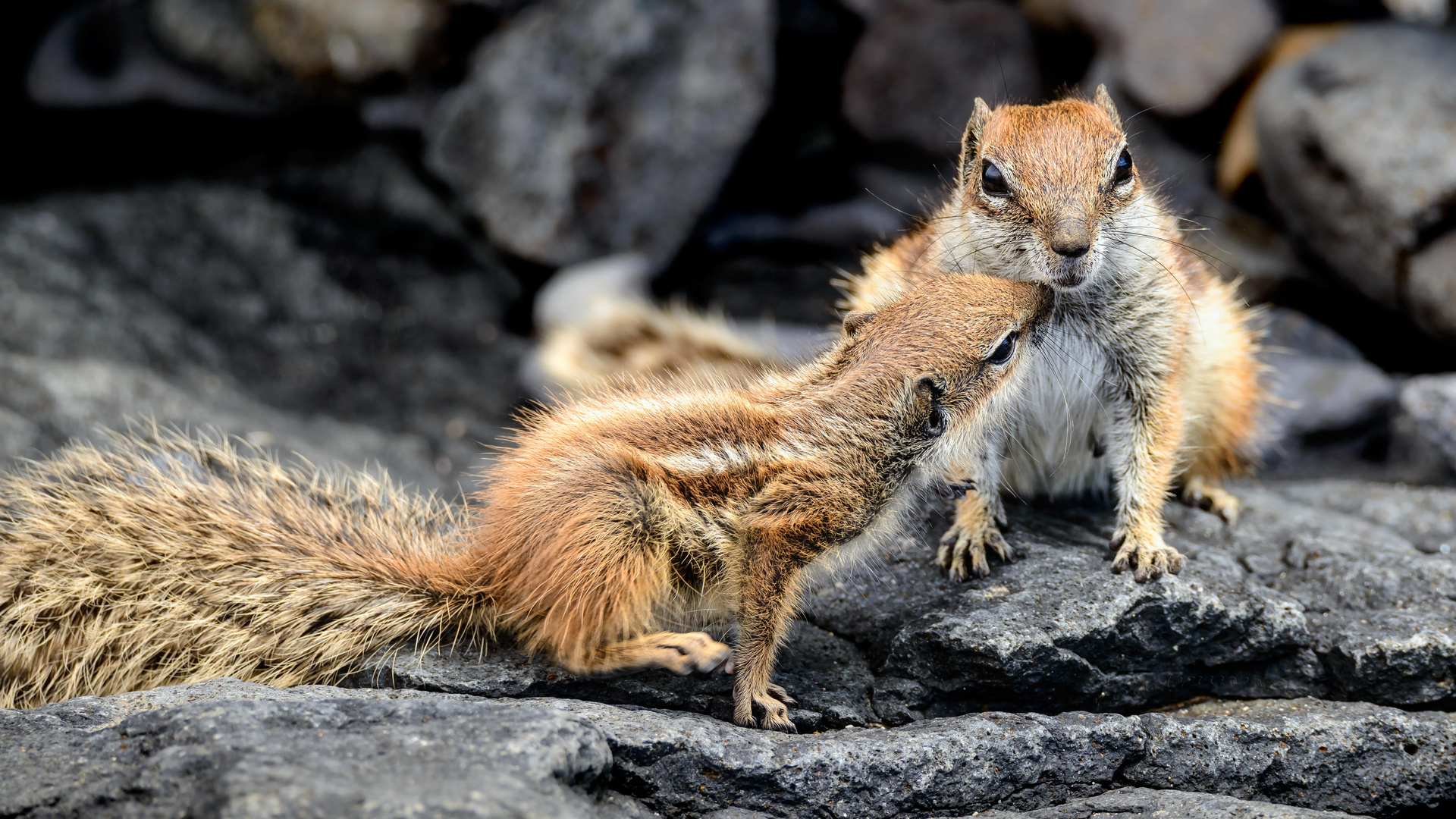 "Mama ich hab Hunger!"