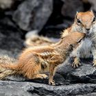 "Mama ich hab Hunger!"