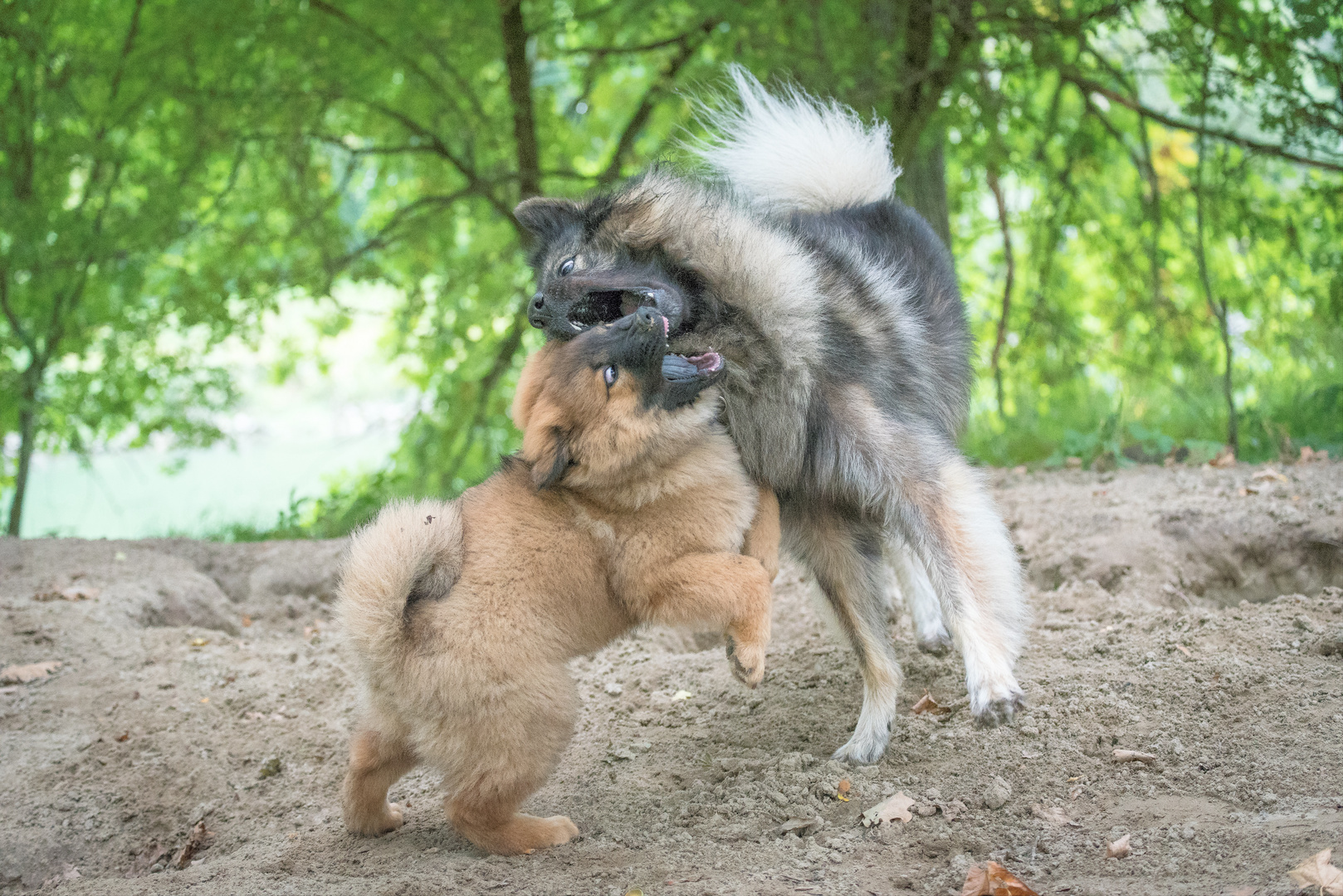 Mama, ich habe Dich auch lieb!