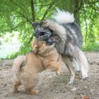 Mama, ich habe Dich auch lieb!