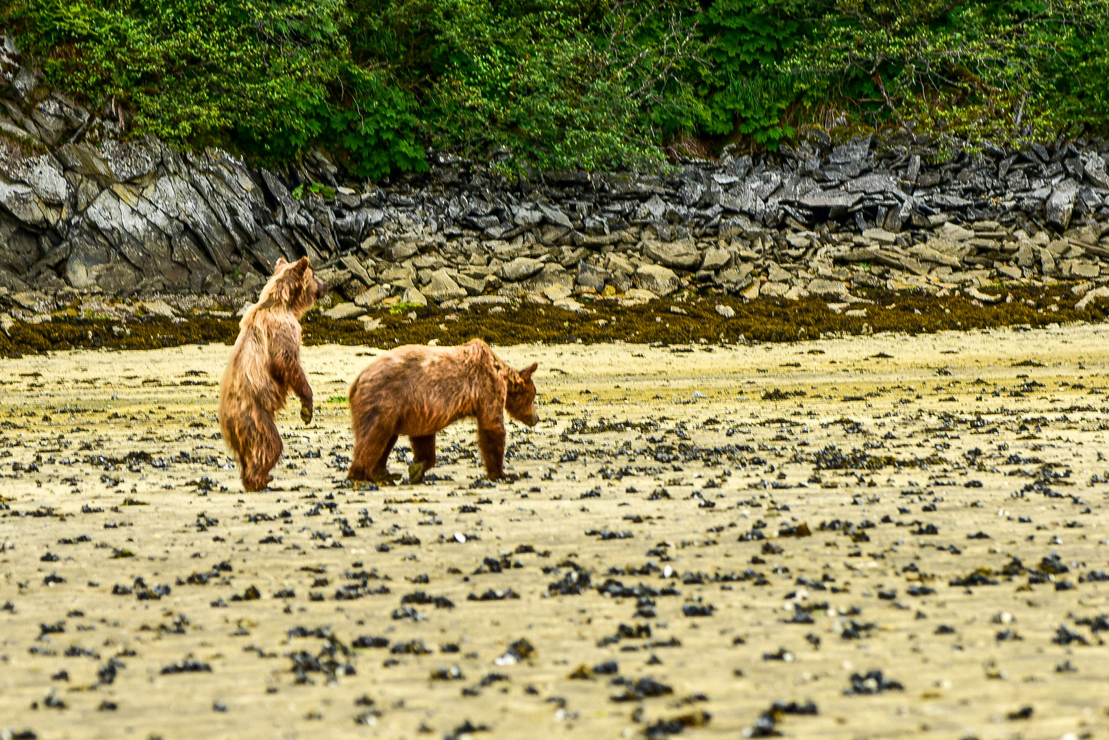 Mama ich sehe da kommt ein nein zwei.....DSC_5373