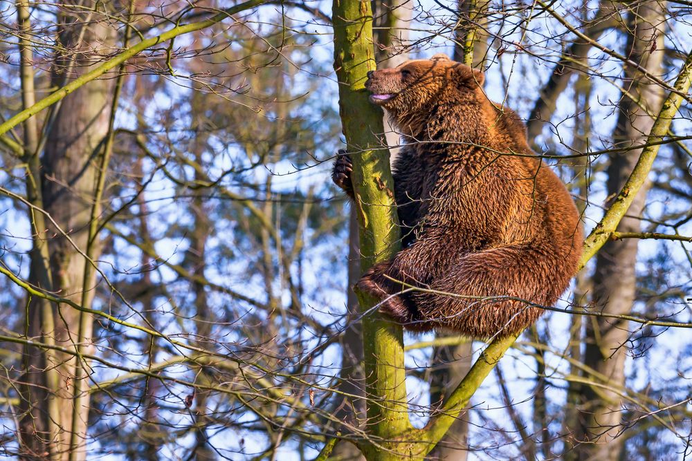 "Mama, ich will hier runter!"