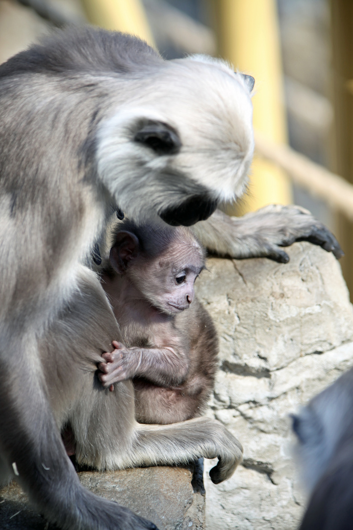 Mama ist die Beste ...