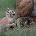 Mama ist ein feiner Spielplatz!