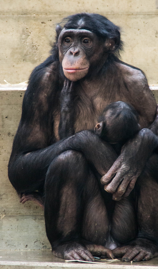 Mama ist müde