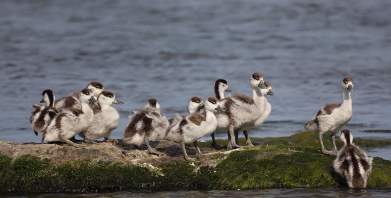 ........ Mama ist weg........