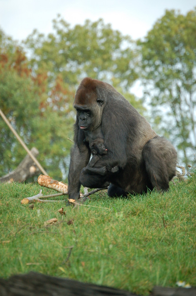 Mama mit baby