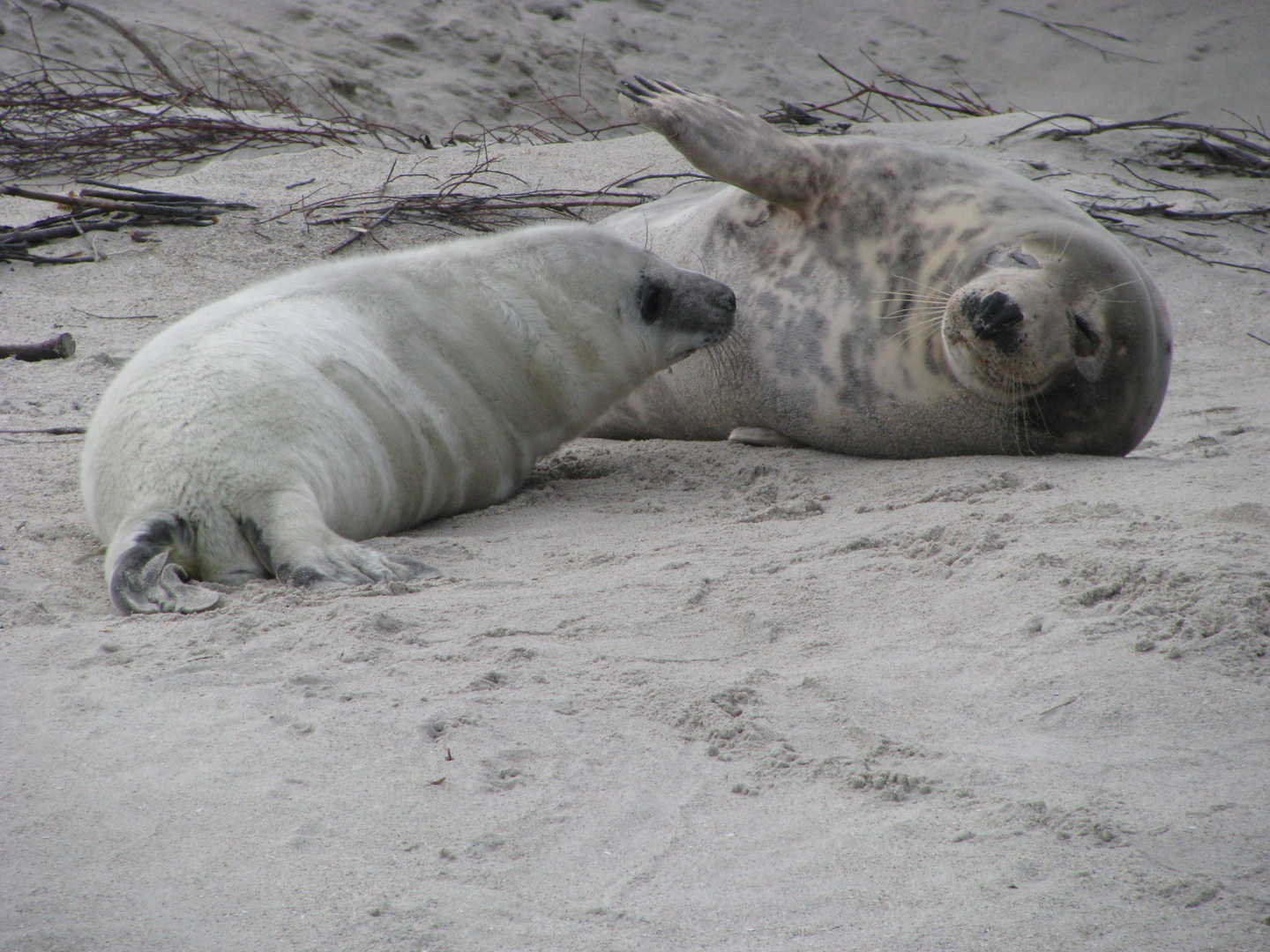 Mama mit Baby