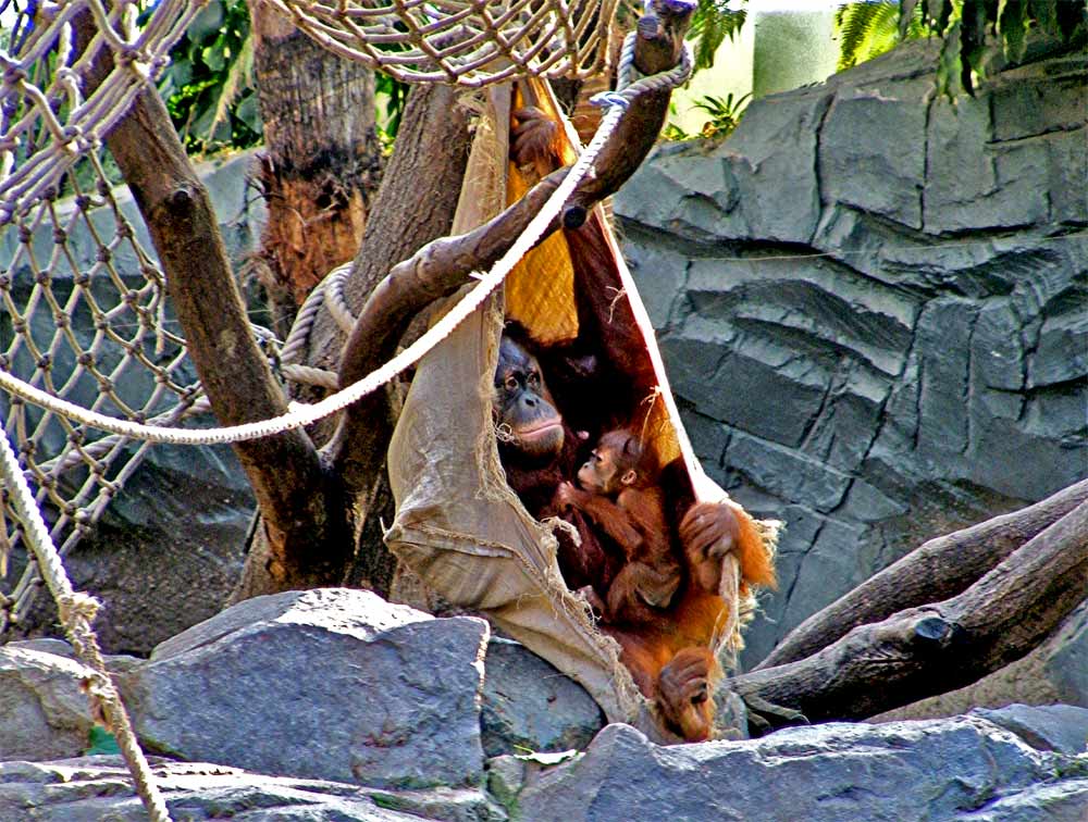 Mama mit Baby voll süß