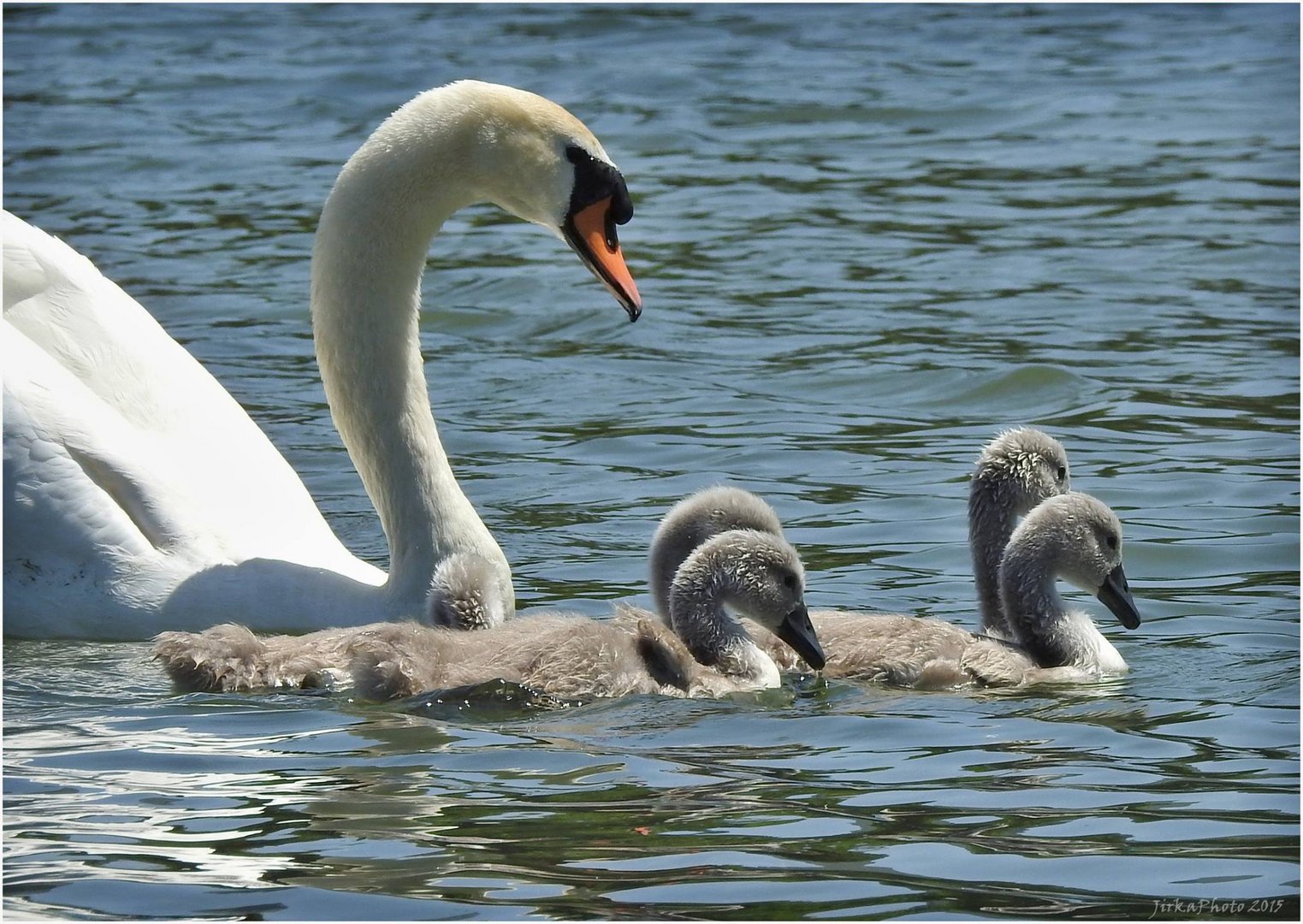 Mama mit brave Nachwuchs